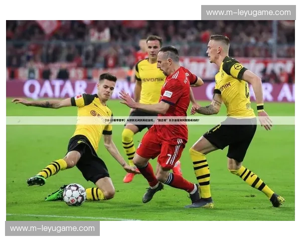 开云体育多语种解说，让体育赛事更精彩