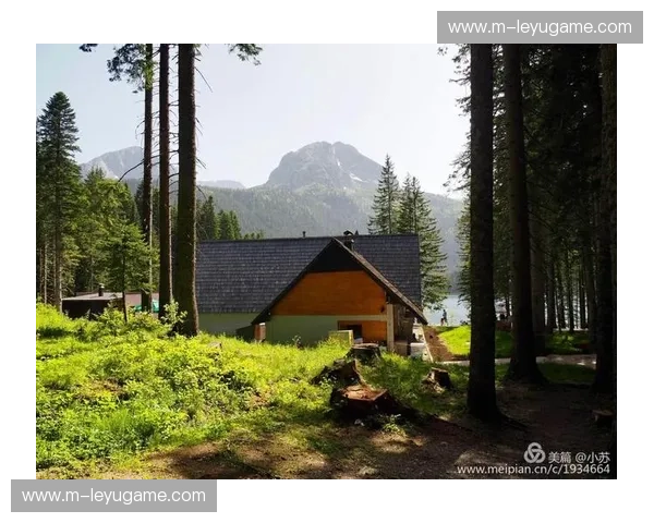 巅峰对决：当保加利亚玫瑰遇见黑山苍鹰，谱写巴尔干半岛的足球战歌