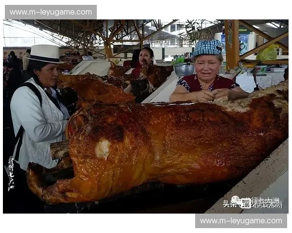 舌尖上的世界：塞内加尔与厄瓜多尔的美食奇遇记